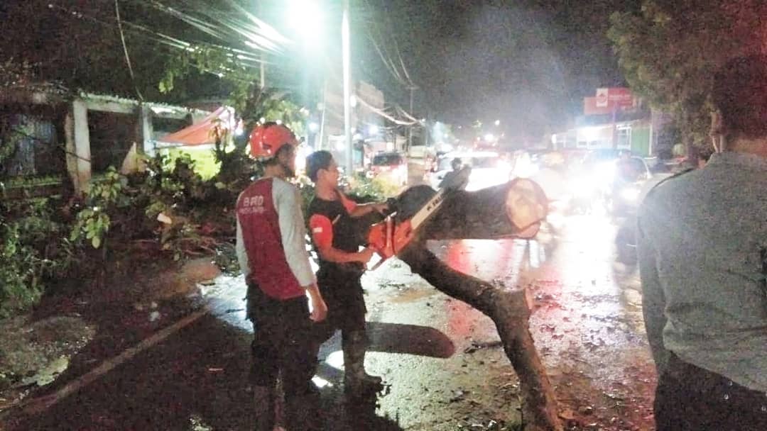 Penanganan Pohon Tumbang di Legok