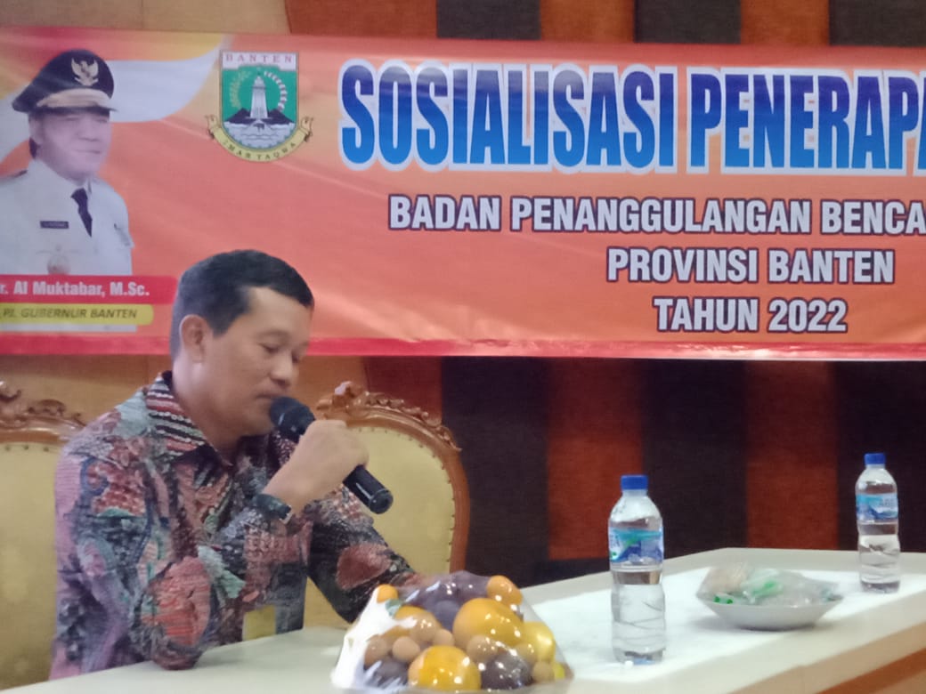 Sosialisasi Penerapan Standar Pelayanan Minimal Sub Urusan Kebencanaan