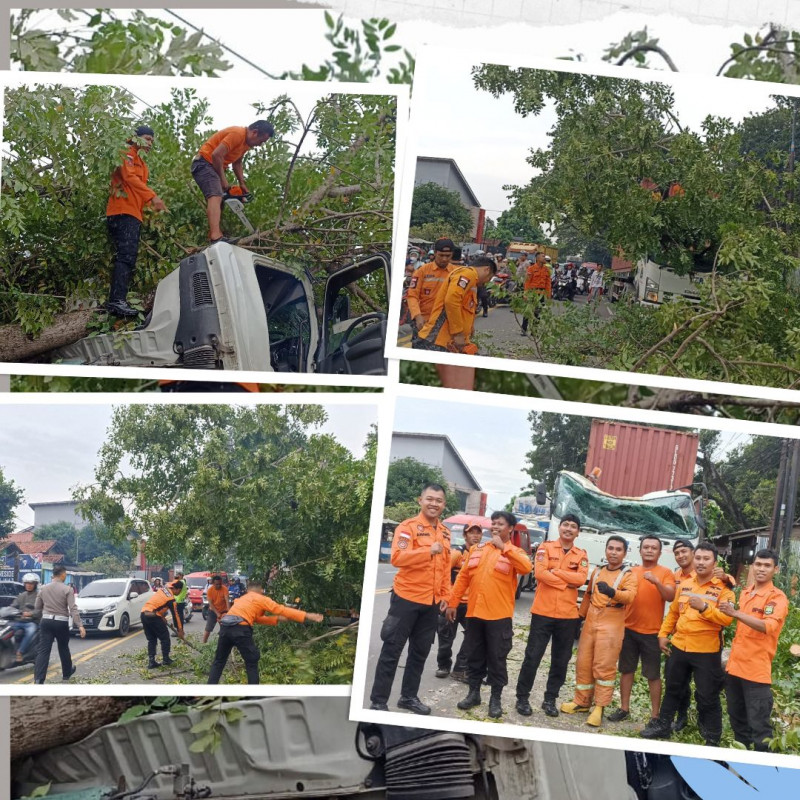 BPBD Provinsi Banten Tangani Pohon Tumbang Timpa Mobil Kontainer